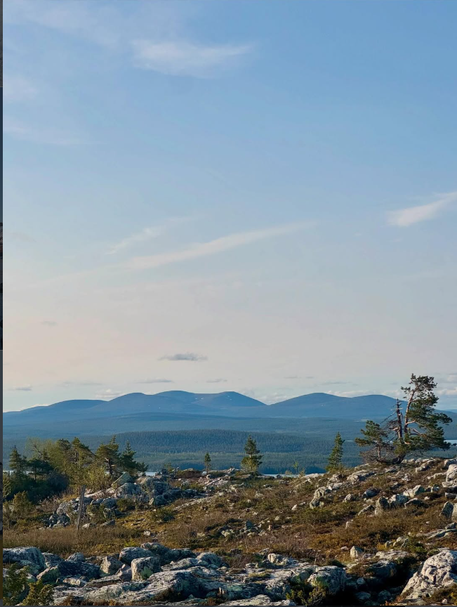 Oikeudelliset asiakirjat